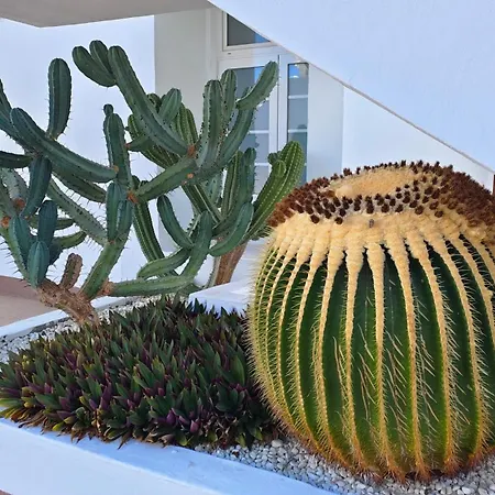 아파트 Malibu Park With Ocean View *